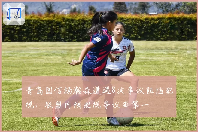 青岛国信杨瀚森遭遇8次争议阻挡犯规，联盟内线犯规争议率第一