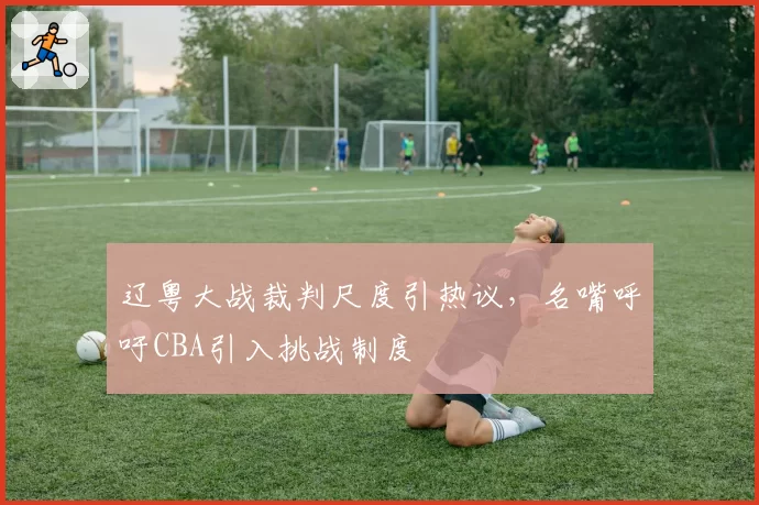 辽粤大战裁判尺度引热议,名嘴呼吁CBA引入挑战制度